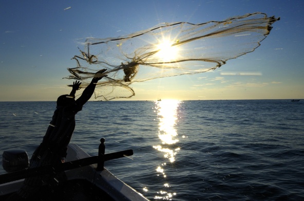 "Faith is God's free gift, which calls for humility and the courage to trust and to entrust," says the encyclical "Lumen Fidei" ("The Light of Faith") from Pope Francis. Pictured is a fisherman casting his net into the Indian Ocean off of Sri Lanka's southern coast. (CNS file photo/Paul Jeffrey)