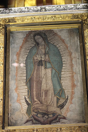 The Miraculous Image of Our Lady of Guadalupe. (J.D. Long-García/CATHOLIC SUN)
