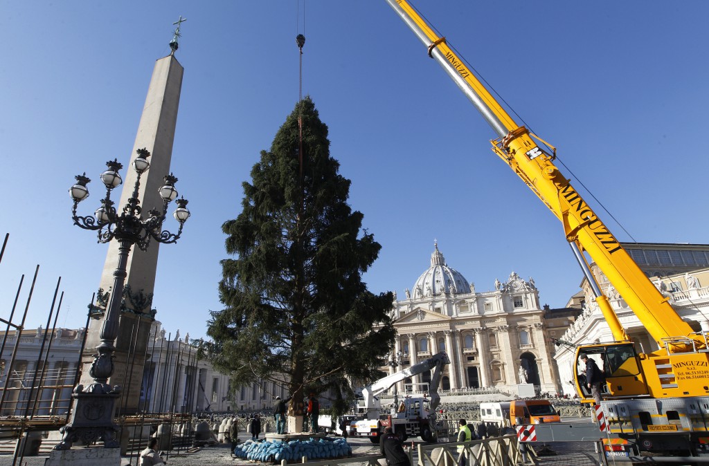 The Vatican Christmas tree is positioned in St. Peter's Square Dec. 5. The 82-foot-tall tree is a gift from people in the town of Waldmunchen in Germany's Bavarian region near the Czech border. (CNS photo/Paul Haring)