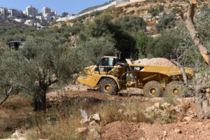 Israeli heavy equipment loads an olive tree after it was uprooted to to make way for the controversial separation barrier in the Cremisan Valley in Beit Jalla, West Bank, Sept 3. (CNS photo/Debbie Hill)