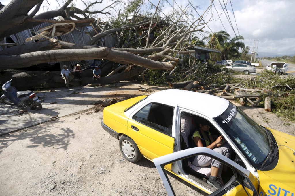 A person sits in a car by a felled tree in Melaque, Mexico, Oct. 24. (CNS photo/Edgard Garrido, Reuters) 