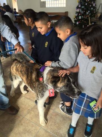 St. Gregory students interact with a pet therapy dog as part of a wrap-up session on humane care of animals. (courtesy photo)