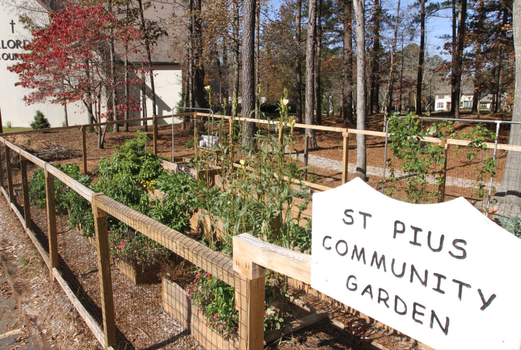 The community garden at St. Pius X Church in Conyers, Ga., is seen in this 2015 file photo. The produce raised goes to families in need and the garden is an example of ways the Atlanta Archdiocese hopes Catholics and parishes can implement Pope Francis' encyclical on the environment. (CNS photo/Michael Alexander, Georgia Bulletin) 
