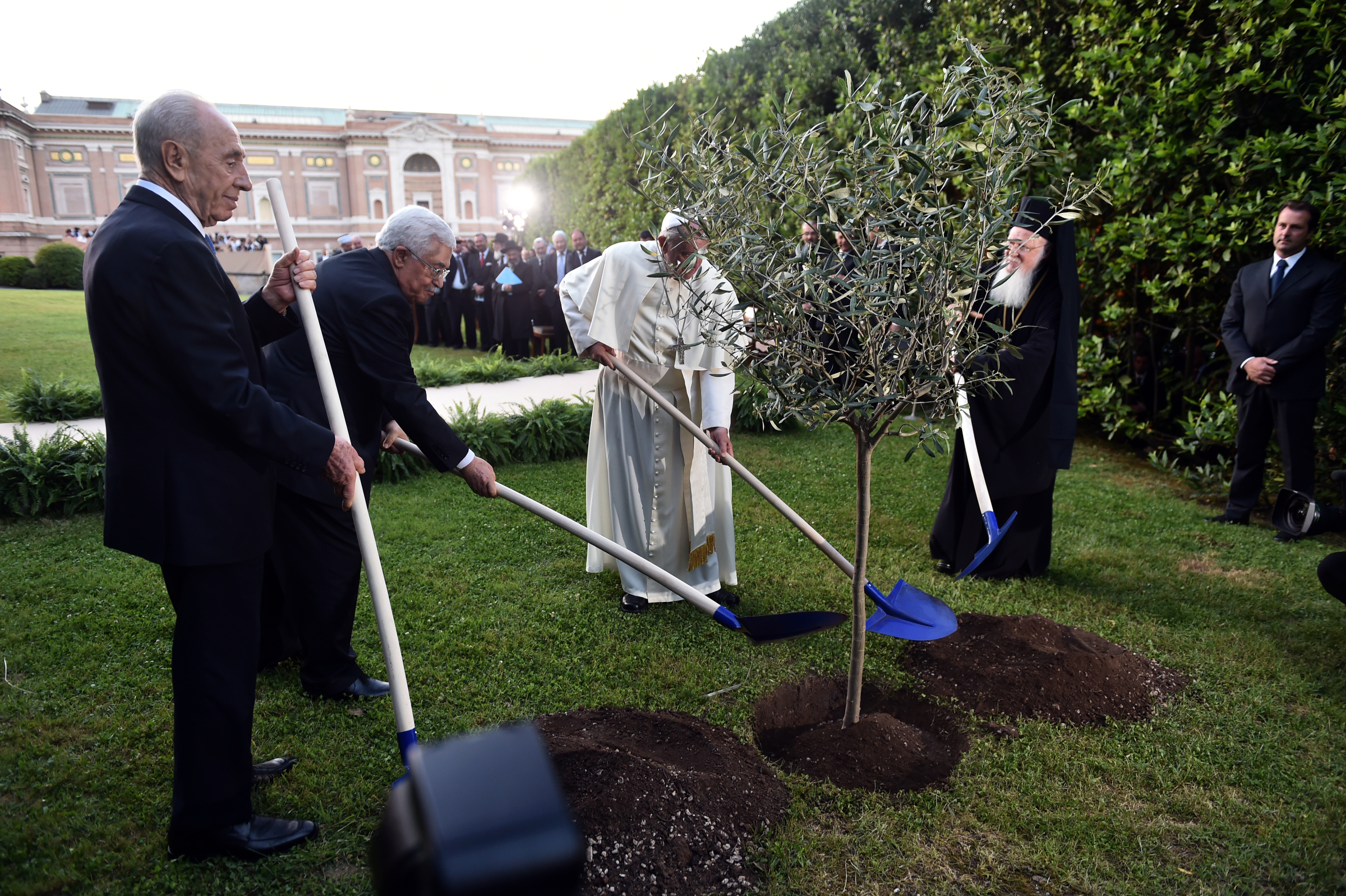 Israeli President Shimon Peres, Palestinian President Mahmoud Abbas, Pope Francis and Ecumenical Patriarch Bartholomew of Constantinople plant an olive tree after an invocation for peace in the Vatican Gardens June 8. (CNS photo/Cristian Gennari, pool) (June 10, 2014) See POPE-INVOCATION June 8, 2014.