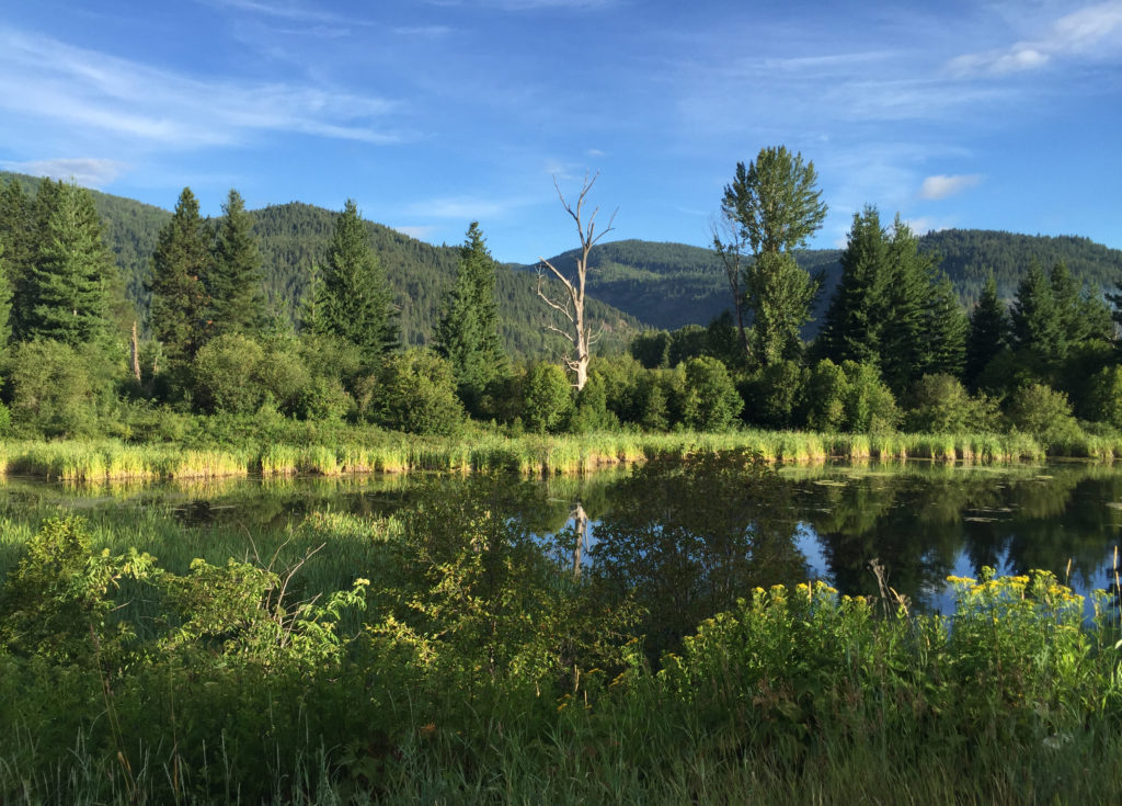 A pond and mountains are seen north of Sandpoint, Idaho, July 11. Pope Francis has proposed adding the care of creation to the traditional list of corporal and spiritual works of mercy. (CNS photo/Cindy Wooden)