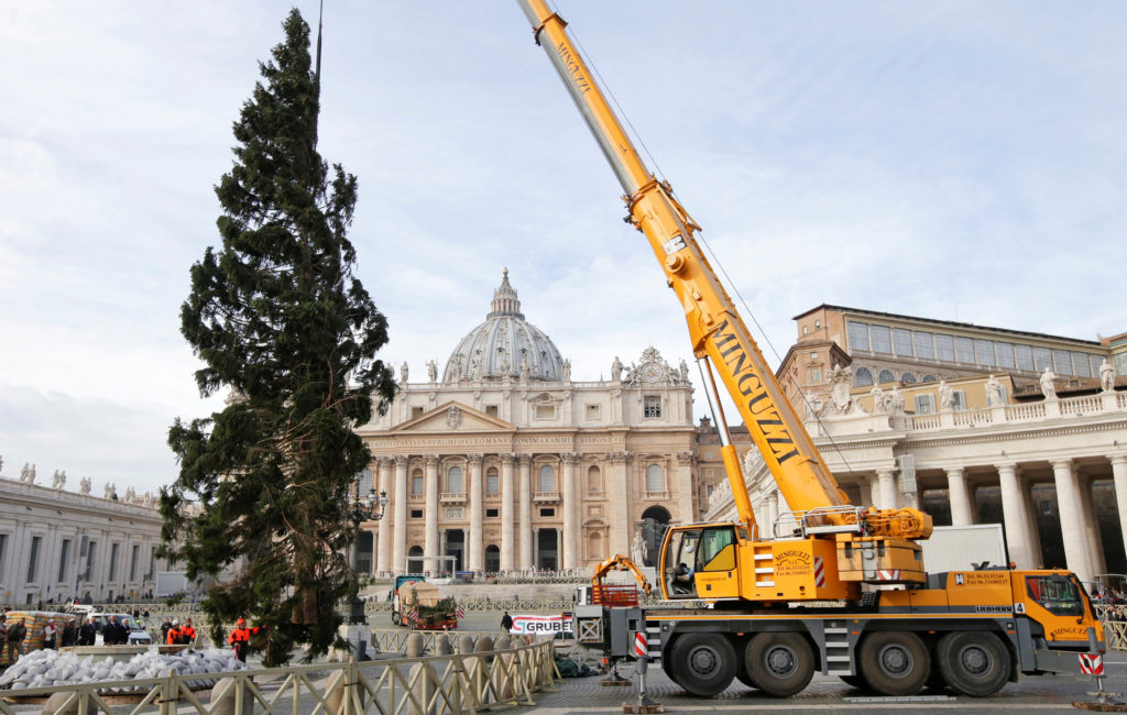 The Vatican Christmas tree is positioned in St. Peter's Square at the Vatican Nov. 24. The 82-feet-tall tree is from the Trentino province in northern Italy. (CNS photo/Max Rossi, Reuters) 
