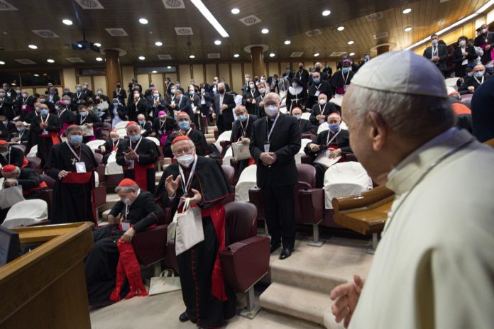POPE MEETING SYNOD PROCESS