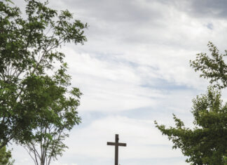 In remembrance of those individuals served by Catholic Cemeteries & Funeral Homes in the month of February